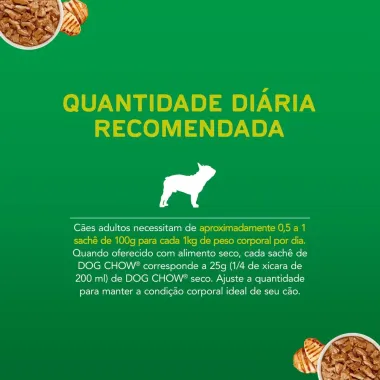 Ra&ccedil;&atilde;o &Uacute;mida para Cachorro Dog Chow Adultos Ra&ccedil;as Minis e Pequenas Purina Extra Life Sabor Frango Sach&ecirc; 100g