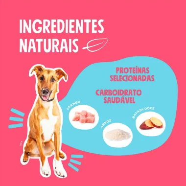 Ração para Cachorro Quatree Select Adulto Raças Médias e Grandes Sabor Frango e Arroz 15Kg