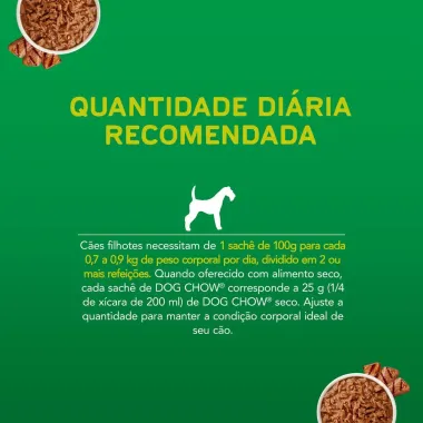 Ra&ccedil;&atilde;o &Uacute;mida para Cachorro Dog Chow Filhotes Extra Life Sabor Carne em Sach&ecirc; 100g