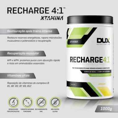 Recharge Dux Nutrition 4:1 Abacaxi 1Kg