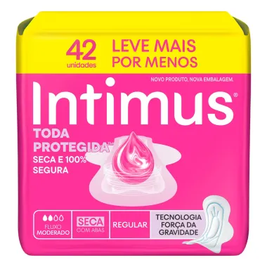 Absorvente Intimus Toda Protegida Dia Seca com Abas 42 Unidades Leve Mais Por Menos
