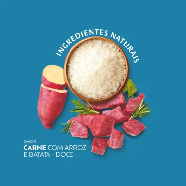 Racao Para Gatos Quatree Select Castrados Sabor Carne Com Arroz E Batata Doce 1Kg