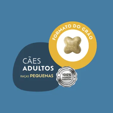 Racao para Cachorro Quatree Select Adulto Raca Pequenas Sabor Carne e Arroz e Batata Doce 3kg