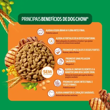 Ra&ccedil;&atilde;o para C&atilde;es Dog Chow Premium Adultos Minis e Pequenos Sabor Carne e Frango 900g