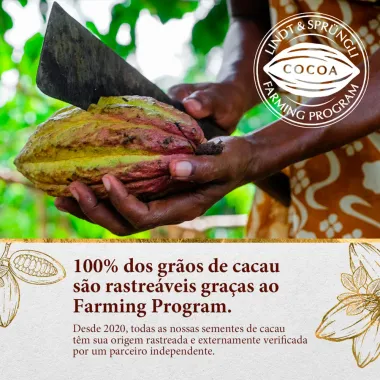 Chocolate Lindt Excellence com Toque de Flor de Sal Dark 100g