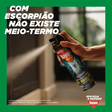 Baygon Max Escorpi&atilde;o Baratas Aranhas e Formigas Aerosol 360ml