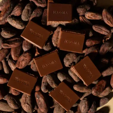 Barra de Chocolate Haoma Ao Leite Zero Adi&ccedil;&atilde;o de A&ccedil;ucares Linha Stevia 25g