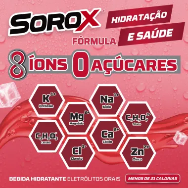 Sorox Sabor Frutas Vermelhas 550ml