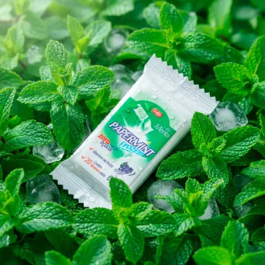 Lâmina Comestível Papermint Frozen Sabor Menta Zero Açucar com 20 Lâminas