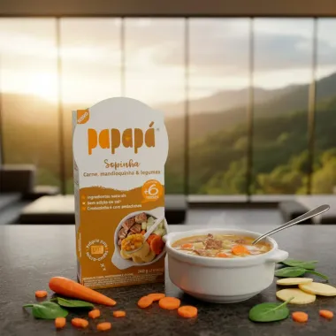 Sopinha Papapà de Carne Mandioquinha e Legumes +6 Meses 240g