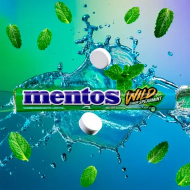 Balas Mentos Mastigaveis Wil Sabord Spearmint 37,5g
