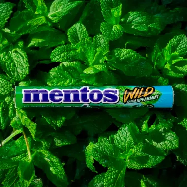 Balas Mentos Mastigaveis Wil Sabord Spearmint 37,5g