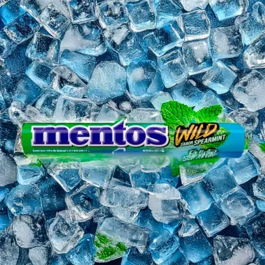 Balas Mentos Mastigaveis Wil Sabord Spearmint 37,5g