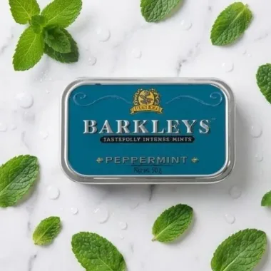 Bala Barkleys Ginger Tastefully Intense Mints 50g
