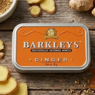 Bala Barkleys Ginger Tastefully Intense Mints 50g
