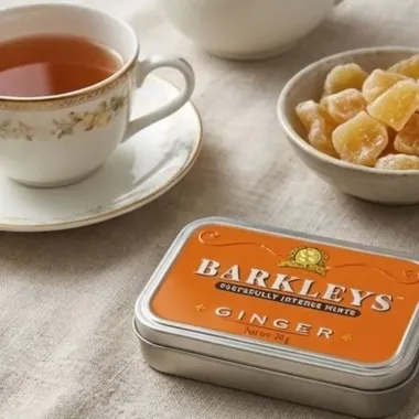 Bala Barkleys Tastefully Intense Mints Peppermint 50g