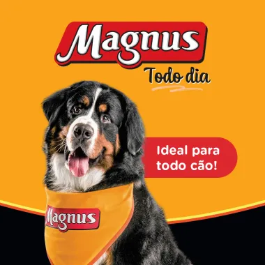 Ração para Cães Magnus Premium Todo Dia Adultos Sabor Carne 15Kg