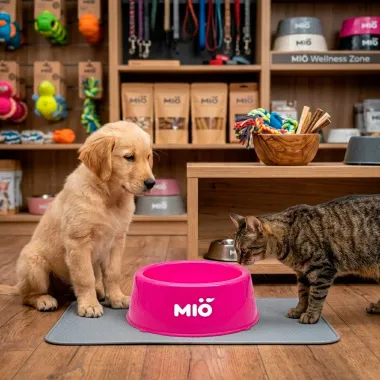 Comedouro Mi&oacute; Pata para C&atilde;es e Gatos Filhotes Rosa