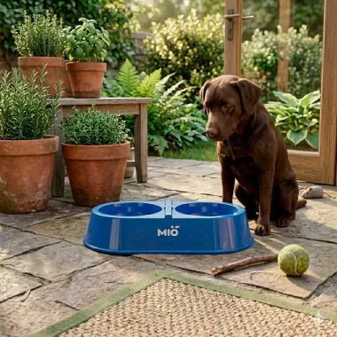 Comedouro Mi&oacute; Pata Duplo para C&atilde;es e Gatos Azul