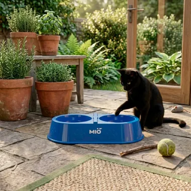 Comedouro Mi&oacute; Pata Duplo para C&atilde;es e Gatos Azul
