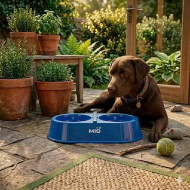 Comedouro Mi&oacute; Pata Duplo para C&atilde;es e Gatos Azul