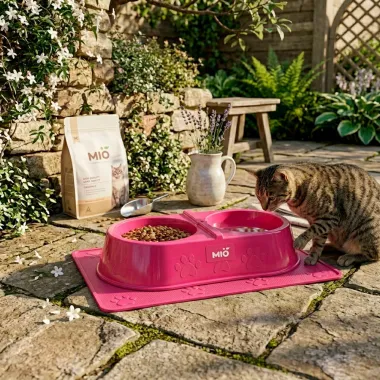 Comedouro Mi&oacute; Pata Duplo para C&atilde;es e Gatos Rosa