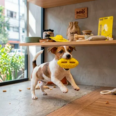 Mordedor para C&atilde;es Mi&oacute; Bola de Futebol com Textura Massageadora Amarelo 1 Unidade