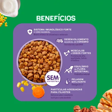 Ra&ccedil;&atilde;o para C&atilde;es Dog Chow Premium Extra Life Filhotes Minis e Pequenos Sabor Carne Frango Frutas e Leite 2,5Kg