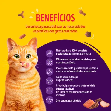 Ra&ccedil;&atilde;o para Gatos Friskies Castrados Megamix Especial 850g