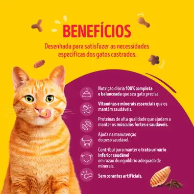 Ra&ccedil;&atilde;o para Gatos Friskies Castrados Megamix Especial 2,5kg