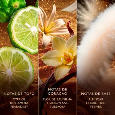 Perfume Jawhara The Auras Golden Nectar Eau de Parfum 100ml
