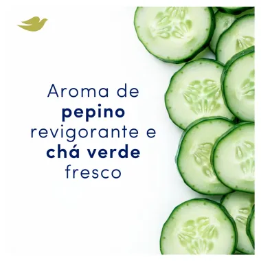 Desodorante Dove Fresh Care Pepino e Ch&aacute; Verde Aerosol Antitranspirante 250ml Tamanho Econ&ocirc;mico
