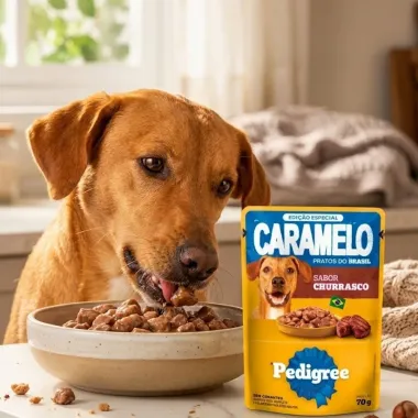 Ra&ccedil;&atilde;o &Uacute;mida para Cachorro Pedigree Caramelo Adulto Sabor Churrasco em Sach&ecirc; 70g