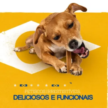 Ra&ccedil;&atilde;o &Uacute;mida para Cachorro Pedigree Caramelo Adulto Sabor Lombinho em Sach&ecirc; 70g