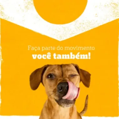 Ra&ccedil;&atilde;o &Uacute;mida para Cachorro Pedigree Caramelo Adulto Sabor Lombinho em Sach&ecirc; 70g