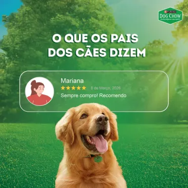 Ra&ccedil;&atilde;o &Uacute;mida para Cachorro Dog Chow Nutri&ccedil;&atilde;o Refor&ccedil;ada Adultos Extra Life Sabor Cordeiro em Filetes com Arroz Sach&ecirc; 85g