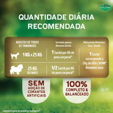 Ra&ccedil;&atilde;o &Uacute;mida para Cachorro Dog Chow Nutri&ccedil;&atilde;o Refor&ccedil;ada Adultos Extra Life Sabor Cordeiro em Filetes com Arroz Sach&ecirc; 85g