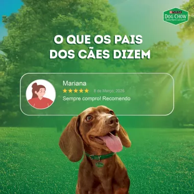 Ra&ccedil;&atilde;o &Uacute;mida para Cachorro Dog Chow Nutri&ccedil;&atilde;o Refor&ccedil;ada Adultos Extra Life Sabor Frango em Filetes com Arroz Sach&ecirc; 85g