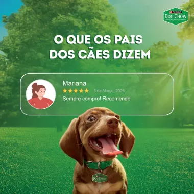 Papinha para C&atilde;es Purina Dog Chow &Oacute;timo Come&ccedil;o Filhotes Extra Life Sabor Frango Cenoura Banana e Leite Sach&ecirc; 85g