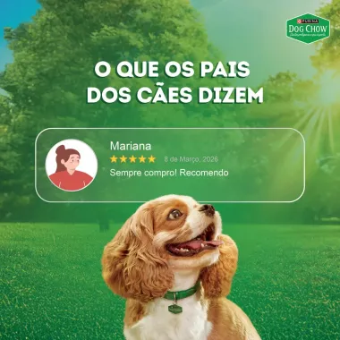 Ra&ccedil;&atilde;o &Uacute;mida para C&atilde;es Dog Chow Extra Life Adultos Sabor Carne Frango e Porco em Tirinhas Tripla Prote&iacute;na Sach&ecirc; 85g