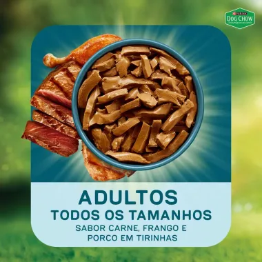 Ra&ccedil;&atilde;o &Uacute;mida para C&atilde;es Dog Chow Extra Life Adultos Sabor Carne Frango e Porco em Tirinhas Tripla Prote&iacute;na Sach&ecirc; 85g