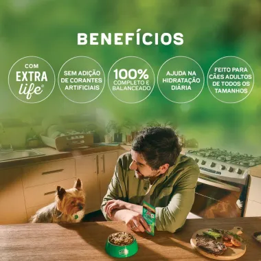 Ra&ccedil;&atilde;o &Uacute;mida para C&atilde;es Dog Chow Extra Life Adultos Sabor Carne Frango e Porco em Tirinhas Tripla Prote&iacute;na Sach&ecirc; 85g