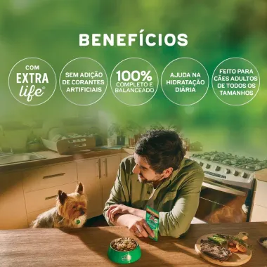 Ra&ccedil;&atilde;o &Uacute;mida para C&atilde;es Dog Chow Extra Life Adultos Sabor Carne Frango e Salm&atilde;o em Tirinhas Tripla Prote&iacute;na Sach&ecirc; 85g