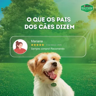 Ra&ccedil;&atilde;o &Uacute;mida para C&atilde;es Dog Chow Extra Life Adultos Sabor Carne Frango e Salm&atilde;o em Tirinhas Tripla Prote&iacute;na Sach&ecirc; 85g