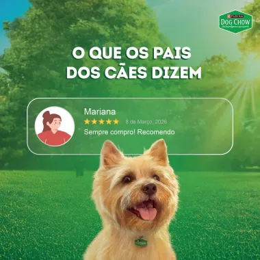 Ra&ccedil;&atilde;o &Uacute;mida para C&atilde;es Dog Chow Extra Life Adultos Sabor Carne Frango Porco Peru e Peixe com Maxi Filetes Multi Prote&iacute;na Sach&ecirc; 85g