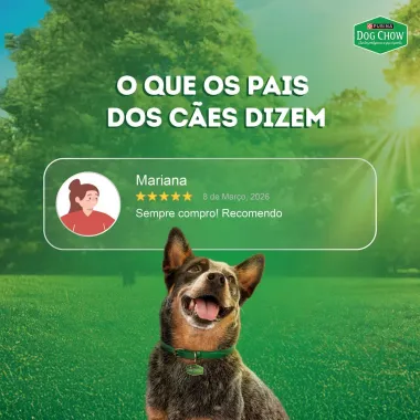 Ra&ccedil;&atilde;o &Uacute;mida para C&atilde;es Dog Chow Extra Life Adultos Sabor Carne Porco e Frango com Maxi Filetes Alta Prote&iacute;na Sach&ecirc; 85g