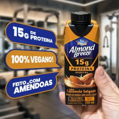 Bebida L&aacute;ctea com Am&ecirc;ndoas Almond Breeze 15g de Prote&iacute;na Vegetal Sabor Caramelo Salgado 250ml
