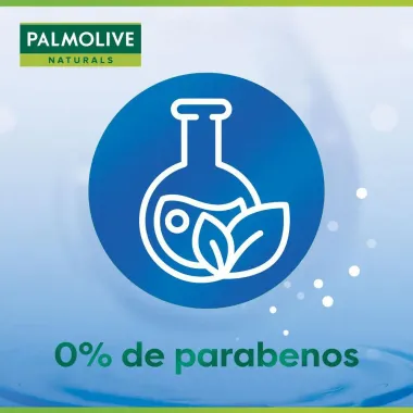 Shampoo Palmolive Anticaspa Cuidado Di&aacute;rio Para Todos os tipos de Cabelo 315ml