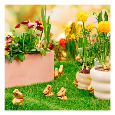 Ovo de P&aacute;scoa Lindt Gold Bunny Chocolate Ao Leite 125g