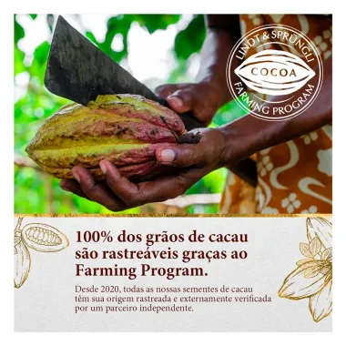 Ovo de P&aacute;scoa Lindt Gold Bunny Chocolate Ao Leite 125g